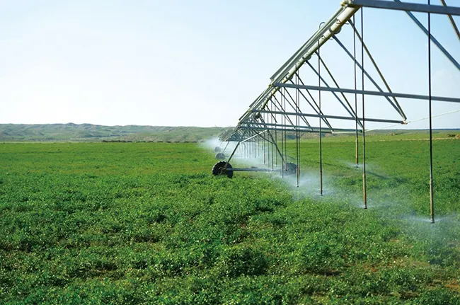 Explore the application of water-saving irrigation technology in campus gardens