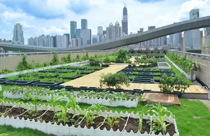 Roof vegetable planting technology for gardening