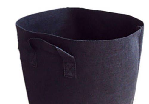 Do you know the benefits of non-woven planting bags?