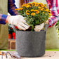 Delxo 12-Pack 5 Gallon Grow Bags Heavy Duty Aeration Fabric Pots Thickened Nonwoven Fabric Pots Plant Grow Bags Grey