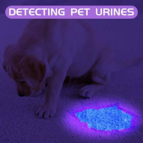 2 Pack UV Flashlight, Delxo 21 LED Black light Flashlite 395nm Detector for Dog Pet Urine Stains Bed Bugs and Scorpions,Authenticate Currghtency,Detection Lis of Fluorescent Agent - delxousa