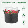 Delxo 12-Pack 15 Gallon Grow Bags Heavy Duty Aeration Fabric Pots Thickened Nonwoven Fabric Pots Plant Grow Bags Grey - delxousa