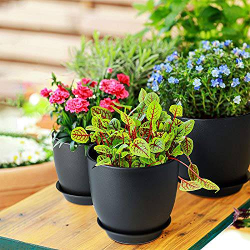 Delxo 5pcs Plant Pots，Flower Pots Indoor with Saucers and Drainage Hole,Plastic Nursery Garden Pots for Plants,Flower.4/4.5/5.5/6.3/7 Inch Planter Pot Black - delxousa