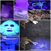 Delxo Black Light Flashlite UV Flashlight-128 LEDs 395nm Inspection Flash light Torch Pet Dog Cat Urine Detector with With UV Sunglasses, UV Handheld Blacklight for Scorpion Hunting, Home Stains - delxousa